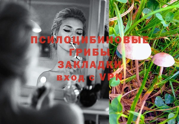 PSILOCYBIN Богданович