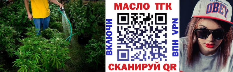 купить  сайты  Муравленко  ТГК концентрат 