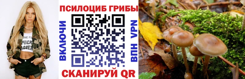 Галлюциногенные грибы мицелий  Муравленко 